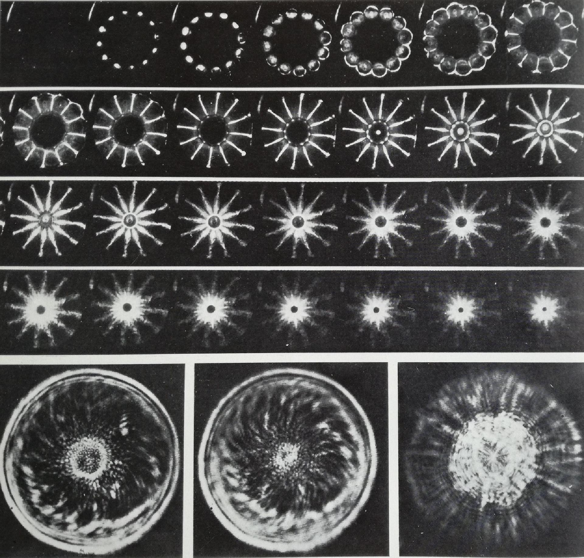Sequenza fotografica dell'innesco simultaneo in 12 punti di un disco di esplosivo del diametro di 18 cm, ripresa a una distanza temporale di un milionesimo di secondo ca. - Ass. EURATOM-CNEN sulla fusione, Frascati