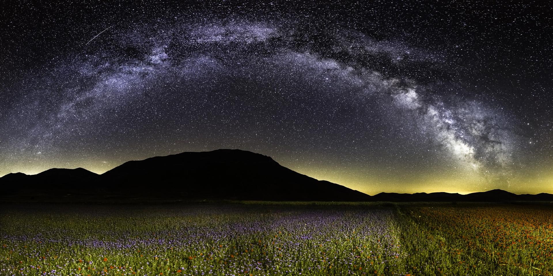 Piano Grande di Castelluccio di Norcia, fioritura delle lenticchie sotto la Via Lattea - Domenico Di Cola