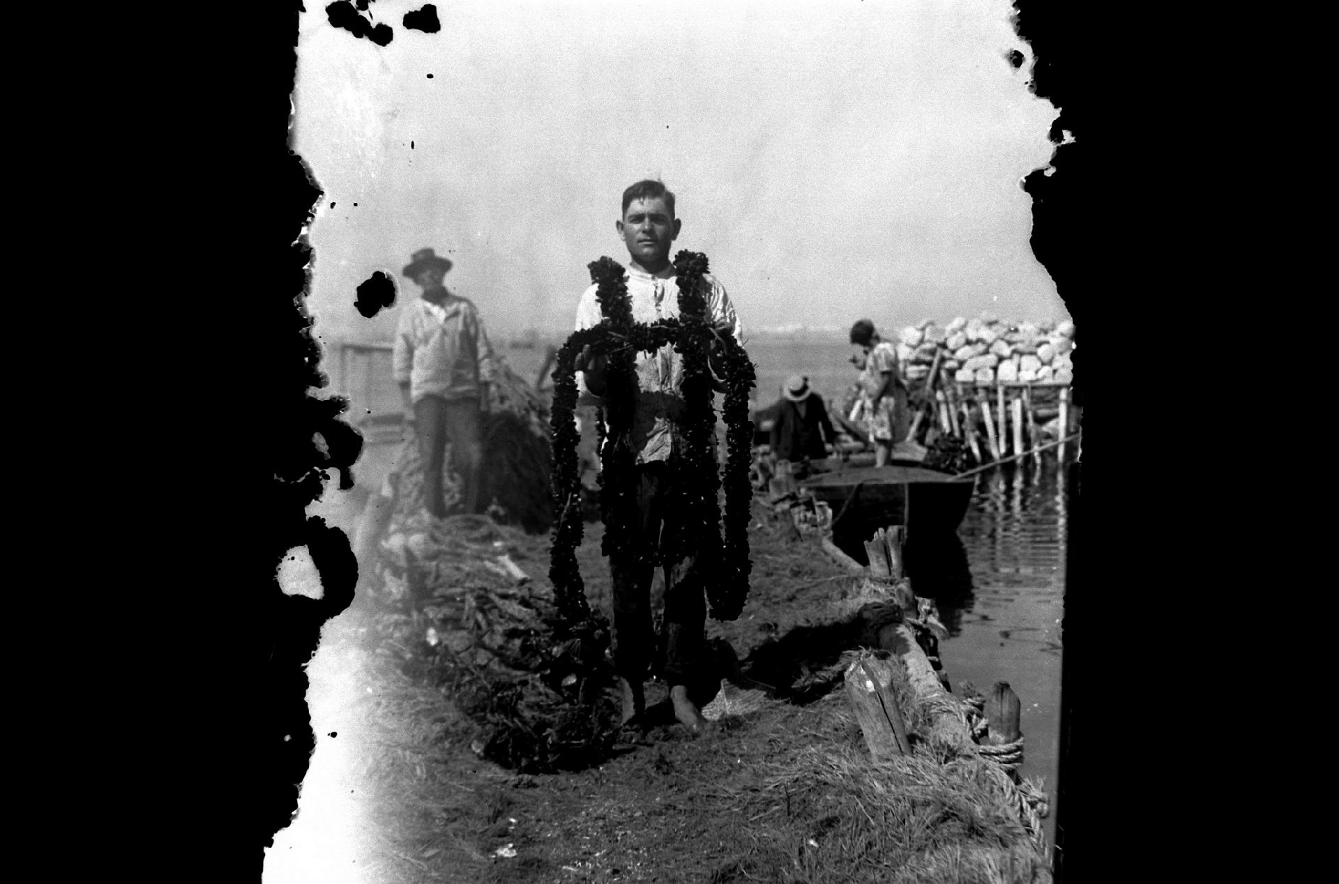 A mussel farmer holds a mussel pergolaro (farming framework) - Attilio Cerruti