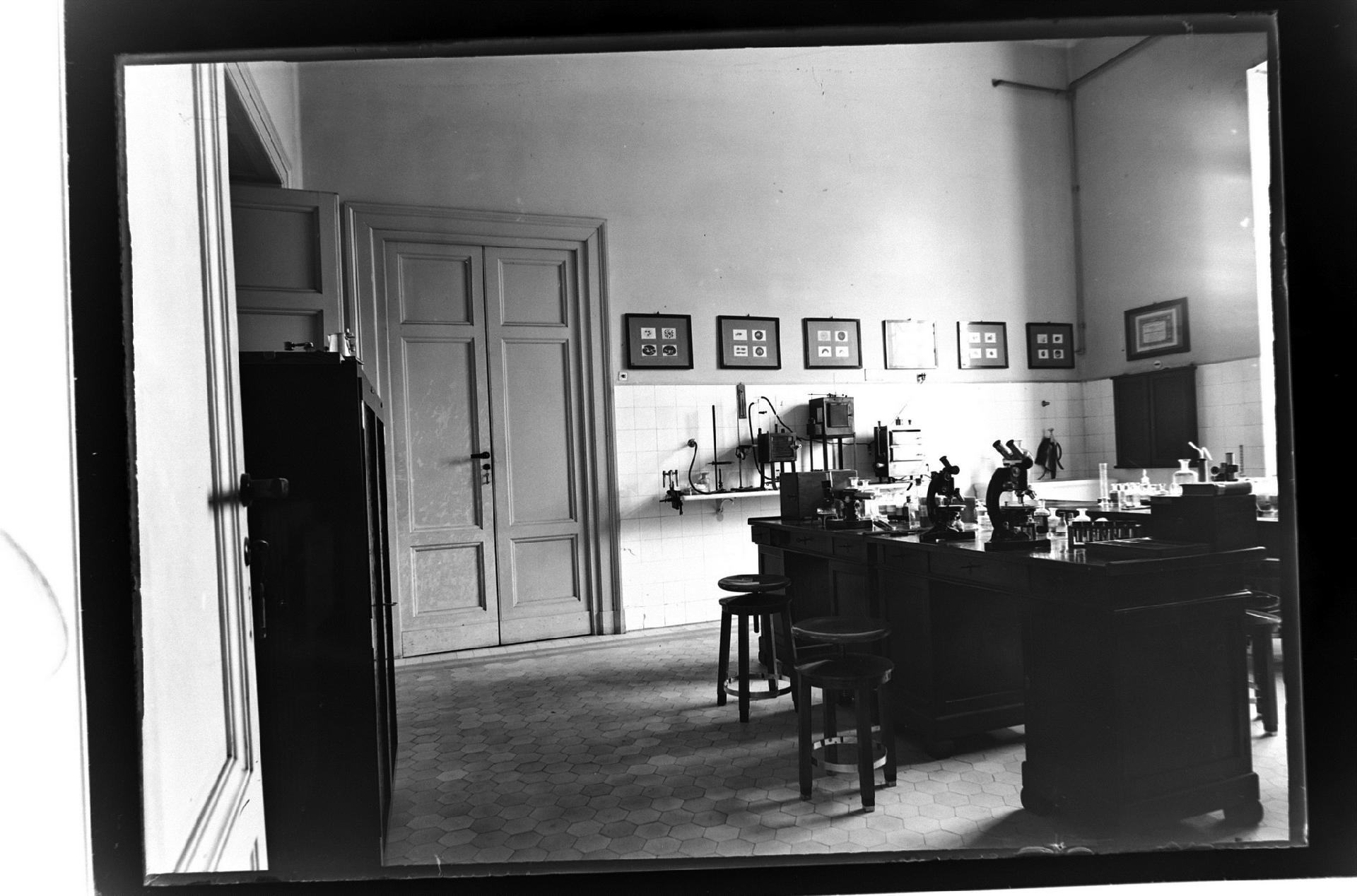 The optical microscopy laboratory for zoological and botanical research - Attilio Cerruti