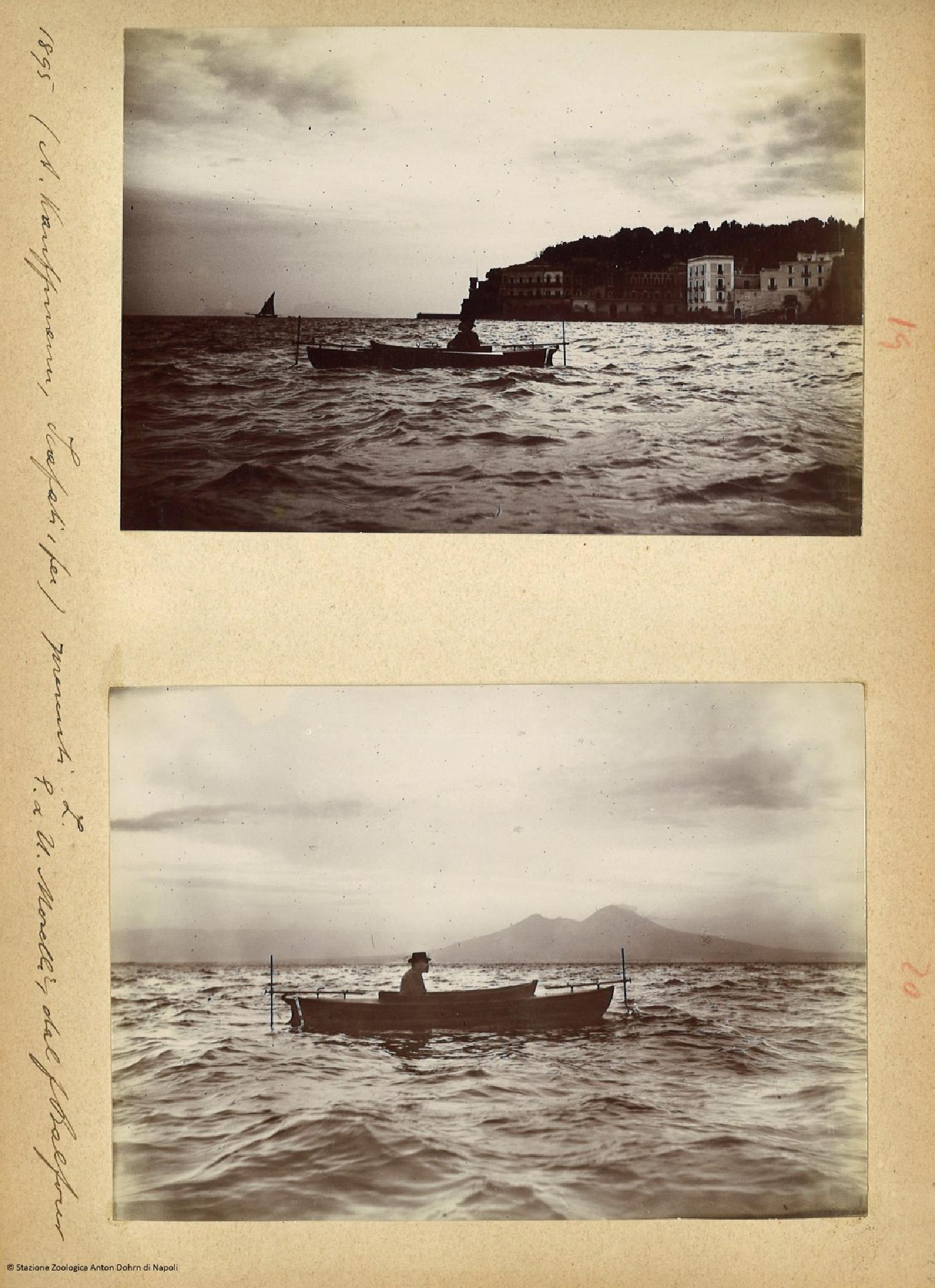 H. Linden e l'Autonat - Stazione zoologica Anton Dohrn di Napoli