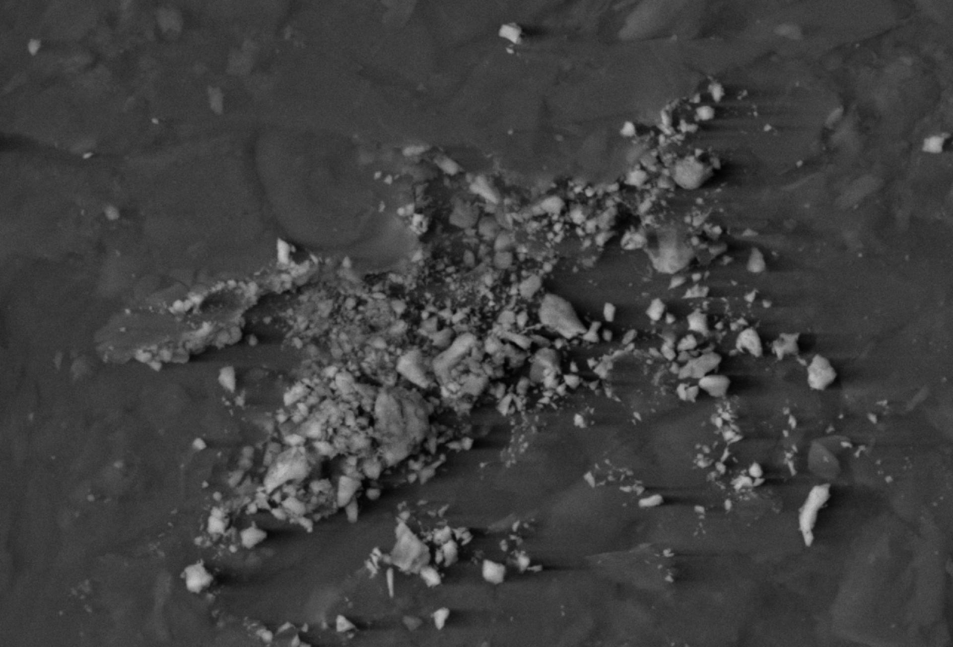 Fotografia al microscopio elettronico a scansione (SEM) da un'opera di Malevich in collezione privata che mostra i microgranuli di colore rimasti adesi al fondo di carta (rif. arch. n. 505/2006). - CC BY-SA Archivio Gallone